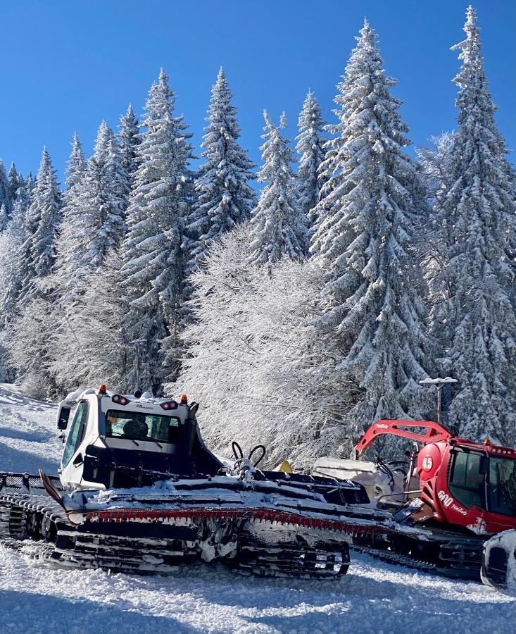Luxury Aparthotel Studenets Pamporovo Exteriör bild